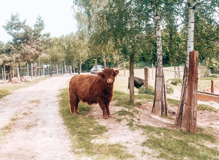 JuraPark Bałtów