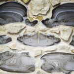 Krzemionki Opatowskie na liście UNESCO!