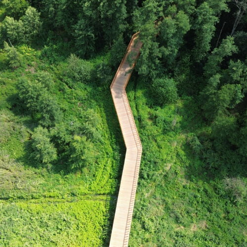 Polska - Ścieżka velo na Pustyni Błędowskiej