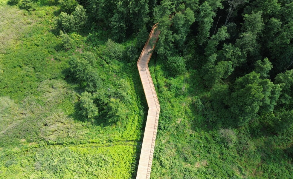 Polska - Ścieżka velo na Pustyni Błędowskiej