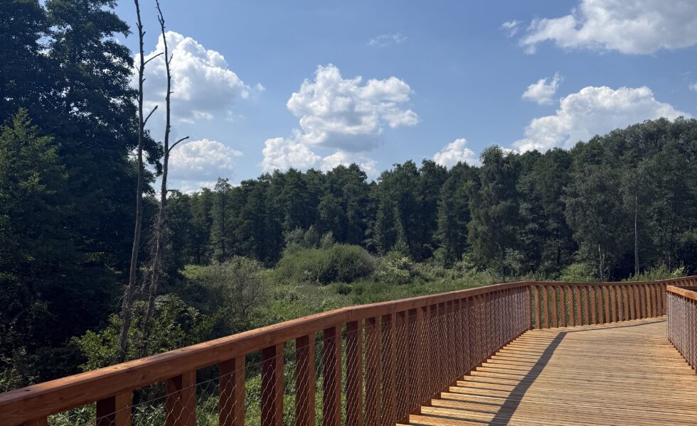 Ścieżka velo na Pustyni Błędowskiej - zdjecie