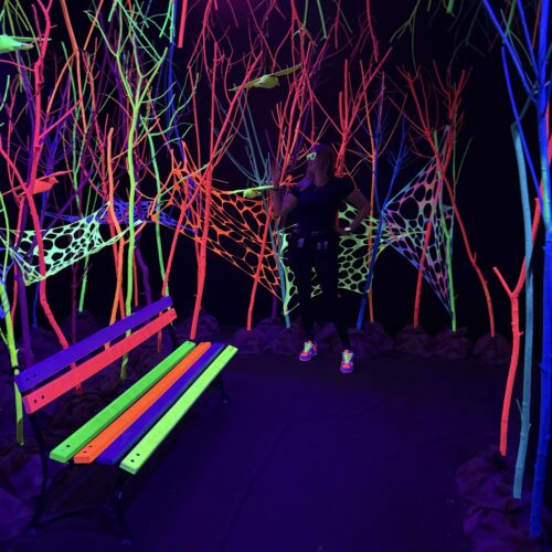 Śląskie - Funzeum w Gliwicach – rabat