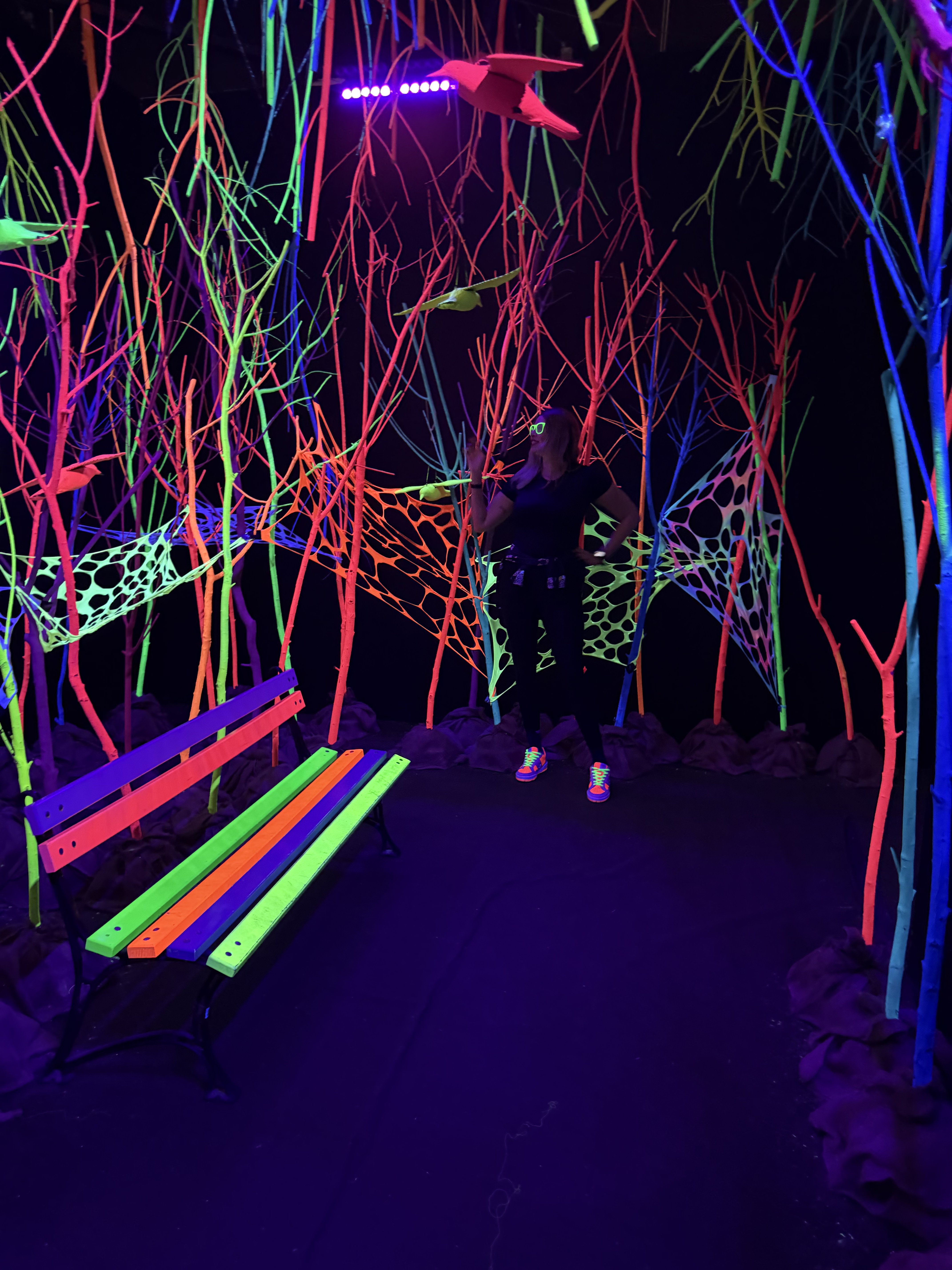 Śląskie - Funzeum w Gliwicach – rabat