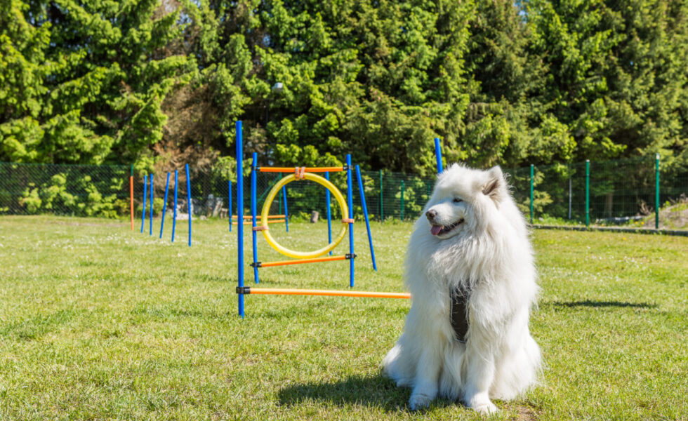 DomY Morskie W Jantarze - zdjecie