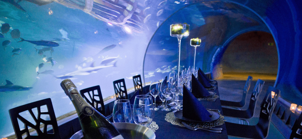 Nietypowe restauracje w Polsce - zdjecie